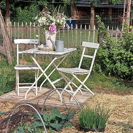Bed and Breakfast Widdingenhof Wellen Esterno foto