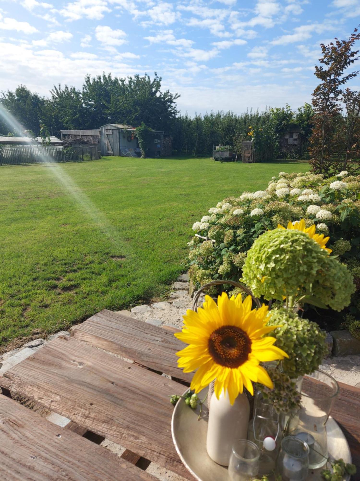 Bed and Breakfast Widdingenhof Wellen Esterno foto